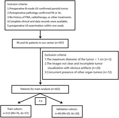 Radiomic nomogram for discriminating parotid pleomorphic adenoma from parotid adenolymphoma based on grayscale ultrasonography